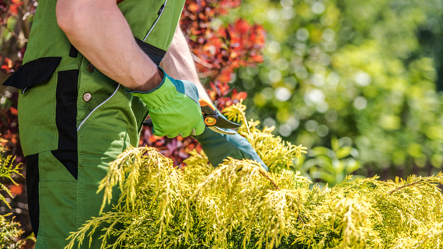 Grounds maintenance img