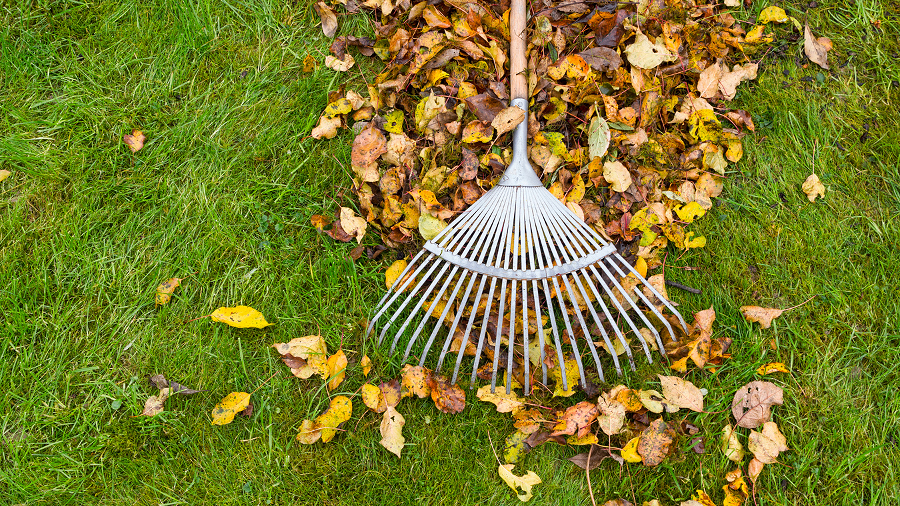 Leaves rake img