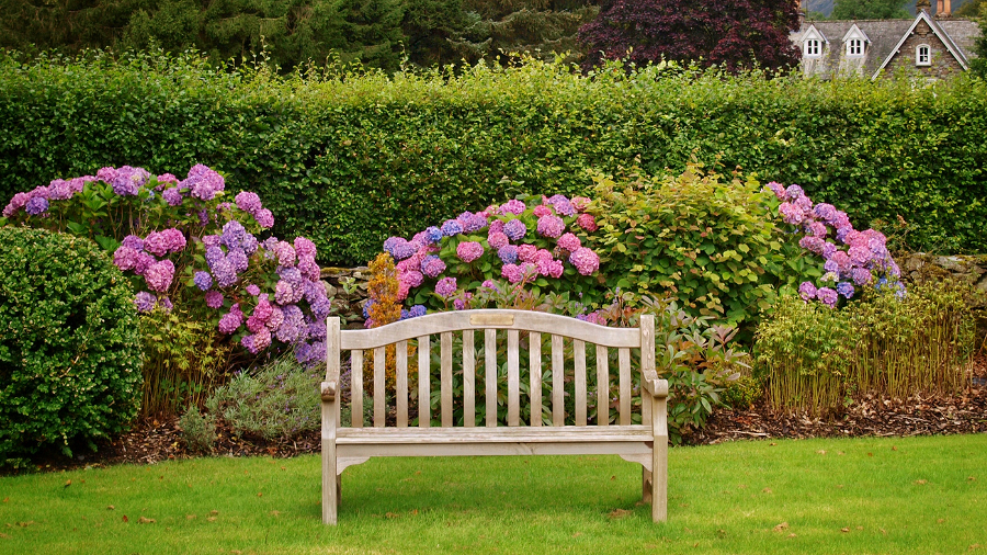 bench and springtime flowers img